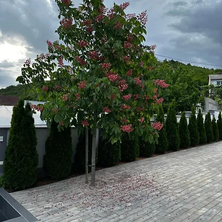 Luxury Magic Kosor